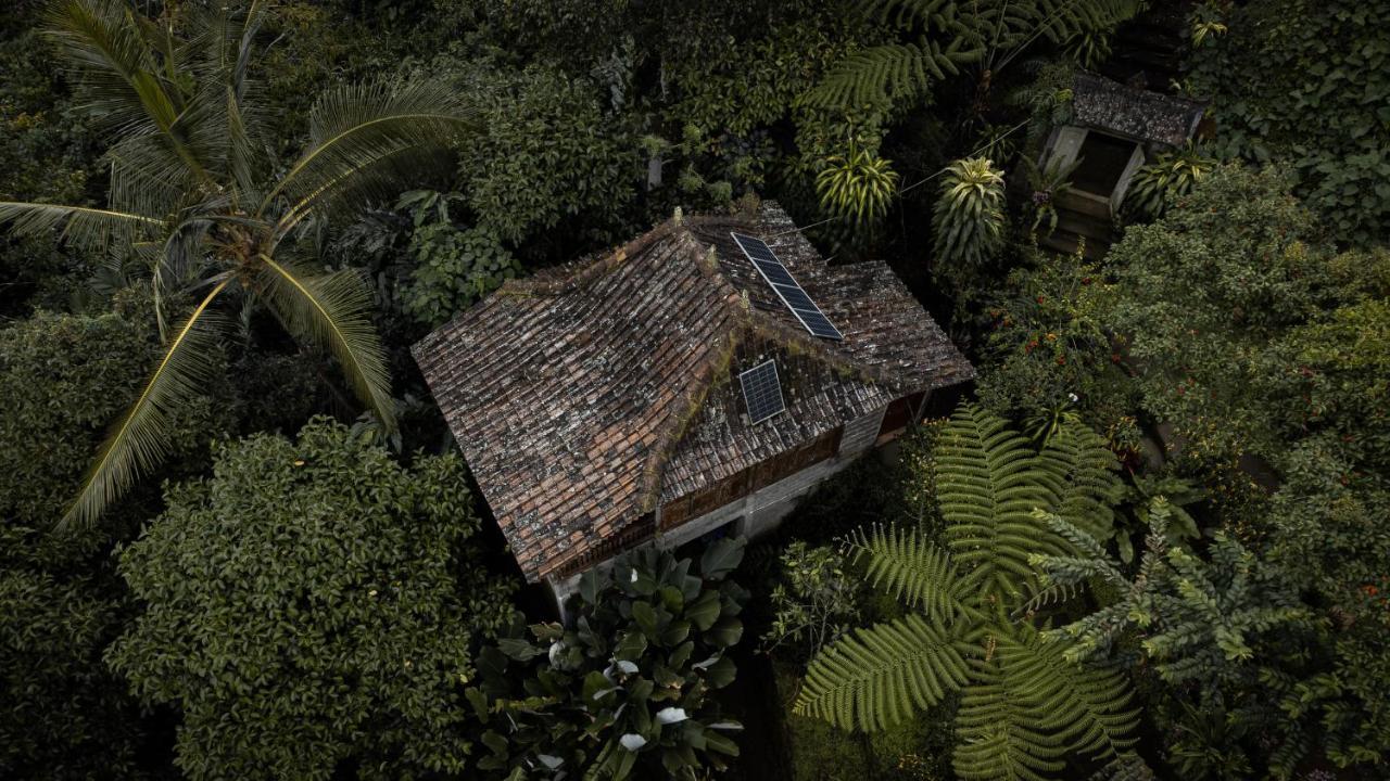 Kebun Kita Eco Lodge Padangan  외부 사진