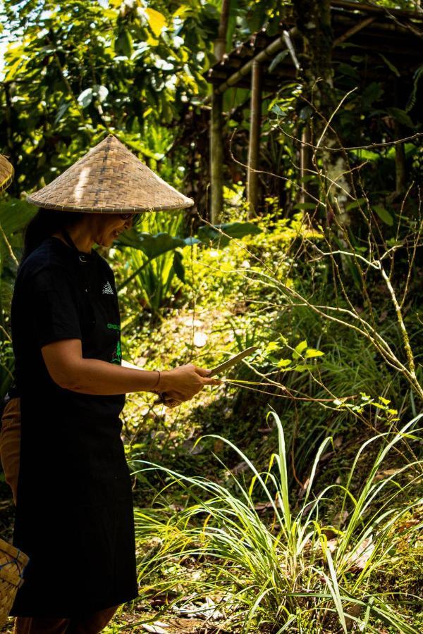Kebun Kita Eco Lodge Padangan  외부 사진
