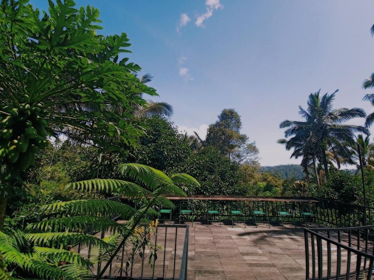 Kebun Kita Eco Lodge Padangan  외부 사진