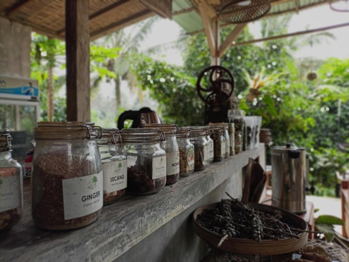 Kebun Kita Eco Lodge Padangan  외부 사진