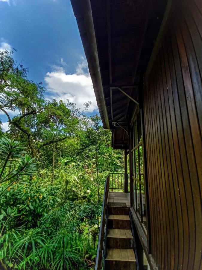 Kebun Kita Eco Lodge Padangan  외부 사진