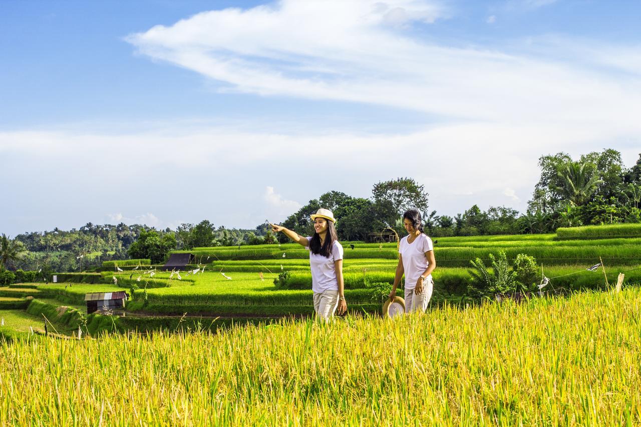 Kebun Kita Eco Lodge Padangan  외부 사진